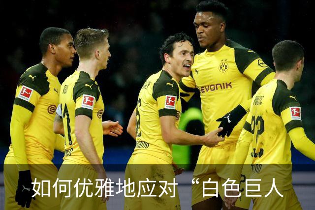 如何优雅地应对“白色巨人